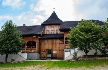 De pe Mestecăniș, prin pădure, pe jos, până la Vatra Dornei