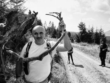 De pe Mestecăniș, prin pădure, pe jos, până la Vatra Dornei