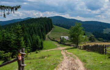De la Mănăstirea Sucevița, prin pădure, 21 de kilometri, la Mănăstirea Moldovița