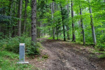 De la Mănăstirea Sucevița, prin pădure, 21 de kilometri, la Mănăstirea Moldovița