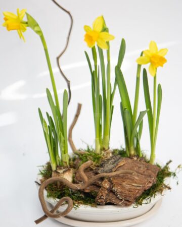 Aranjamente unice, „flori pentru suflet”, ofertă bogată pentru 8 Martie, toate la Queen Concept Flowers