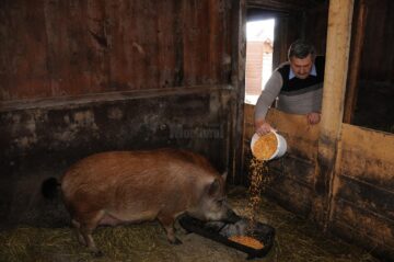Ion Buzduga spune că a produs crema în primul rând pentru a ajuta oamenii, iar banii sunt pe locul II