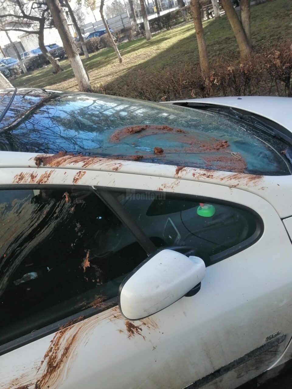 Mașină mâzgălită cu rahat în plin centrul Sucevei