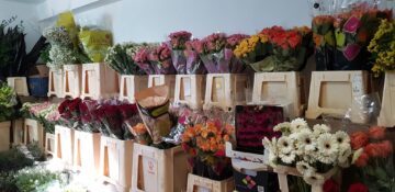 Oferte speciale la Depozitul de flori și accesorii din cartierul Obcini