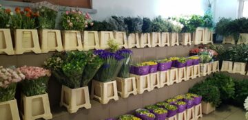 Oferte speciale la Depozitul de flori și accesorii din cartierul Obcini