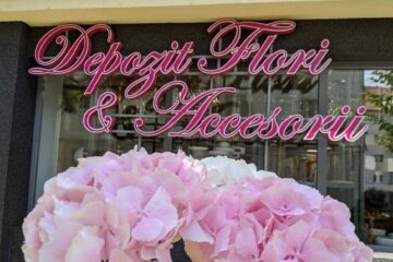 Oferte speciale la Depozitul de flori și accesorii din cartierul Obcini