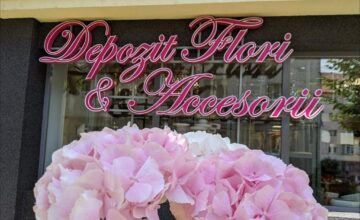 Oferte speciale la Depozitul de flori și accesorii din cartierul Obcini