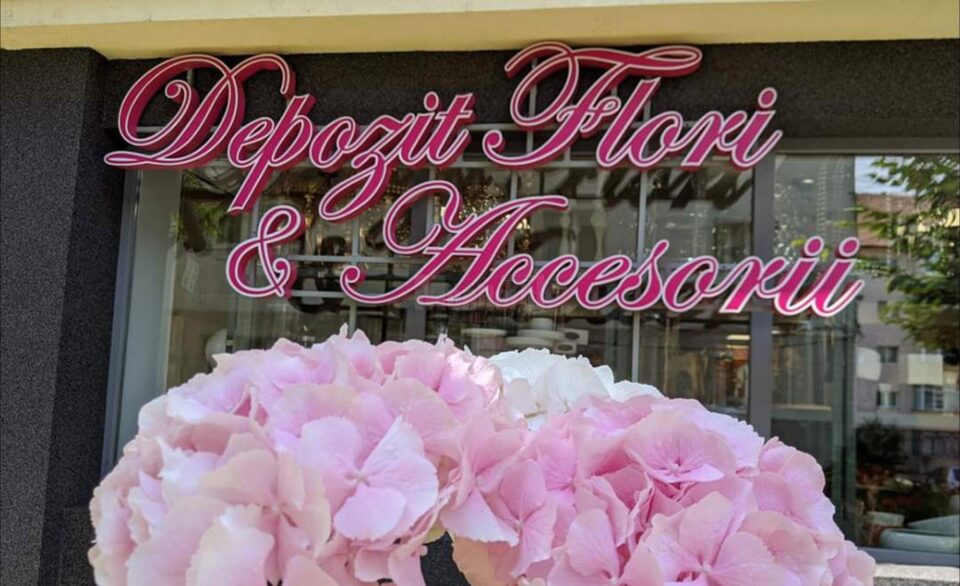 Oferte speciale la Depozitul de flori și accesorii din cartierul Obcini Oferte speciale la Depozitul de flori și accesorii din cartierul Obcini