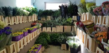 Oferte speciale la Depozitul de flori și accesorii din cartierul Obcini