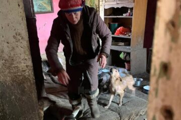 Femeia din Mușenița care trăia alături de 14 câini și 3 pisici, într-o locuință total insalubră
