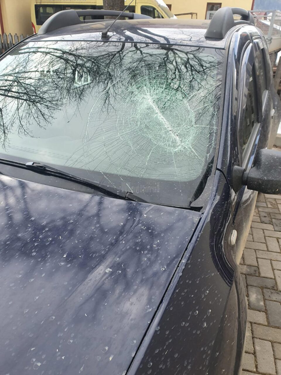 Distrugerile provocate de cel care a făcut scandal la sediul Ocolului Silvic Breaza