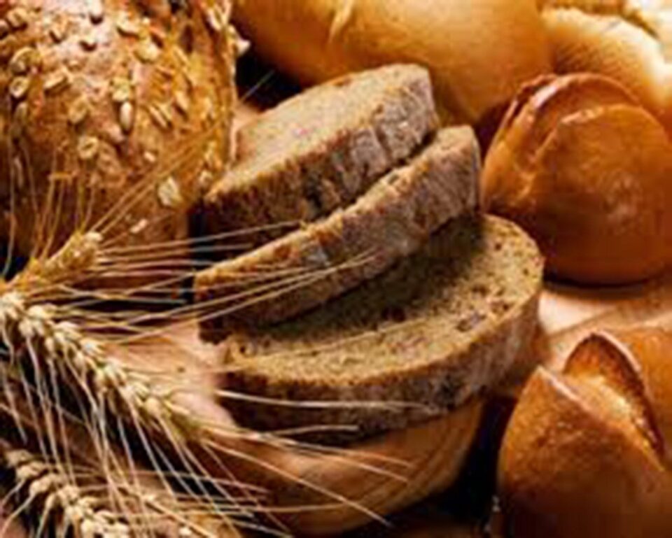 Ce înseamnă „în sudoarea feței tale îți vei mânca pâinea ta”