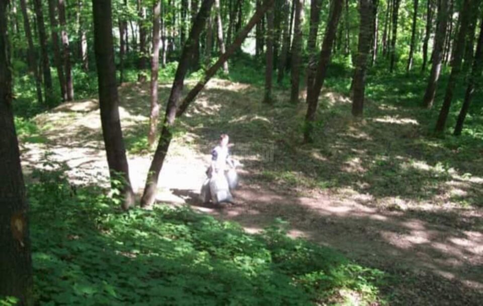 Voluntariat pentru Suceava