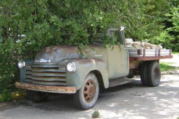 „Autovehicule sau mașini de tocat nervii?”