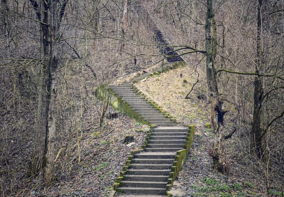 Amenajarea Parcului :ipote ca zonă de agrement va face obiectul unui concurs de proiecte internațional