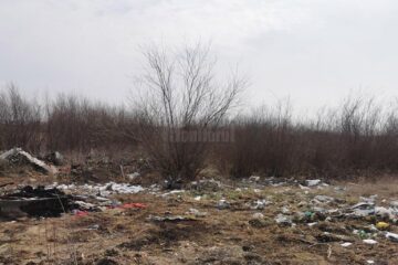 Gunoaie aruncate pe câmp la Forăști