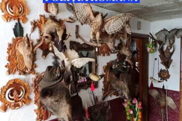 Aglomerația de trofee