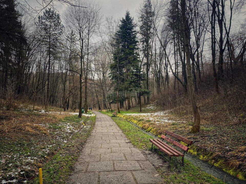 Aceste fapte, coroborate însă și cu alte informații, legate de tineri de etnie romă cu un comportament suspect, mai ales în Parcul Șipote, necesită o atenție sporită din partea poliției Aceste fapte, coroborate însă și cu alte informații, legate de tineri de etnie romă cu un comportament suspect, mai ales în Parcul Șipote, necesită o atenție sporită din partea poliției
