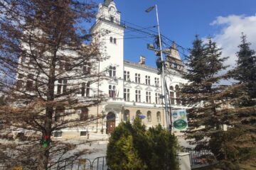 Brazii din fața Palatului Administrativ s-au uscat și urmează să fie înlocuiți