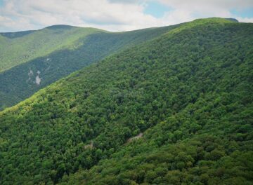 Fondul forestier național are în prezent o suprafață de peste 7 milioane de hectare
