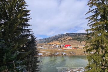 În comuna Dorna Arini rata infectărilor a ajuns la 6,15 la mie