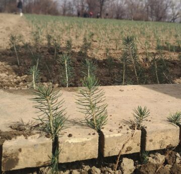 Fondul forestier național are în prezent o suprafață de peste 7 milioane de hectare