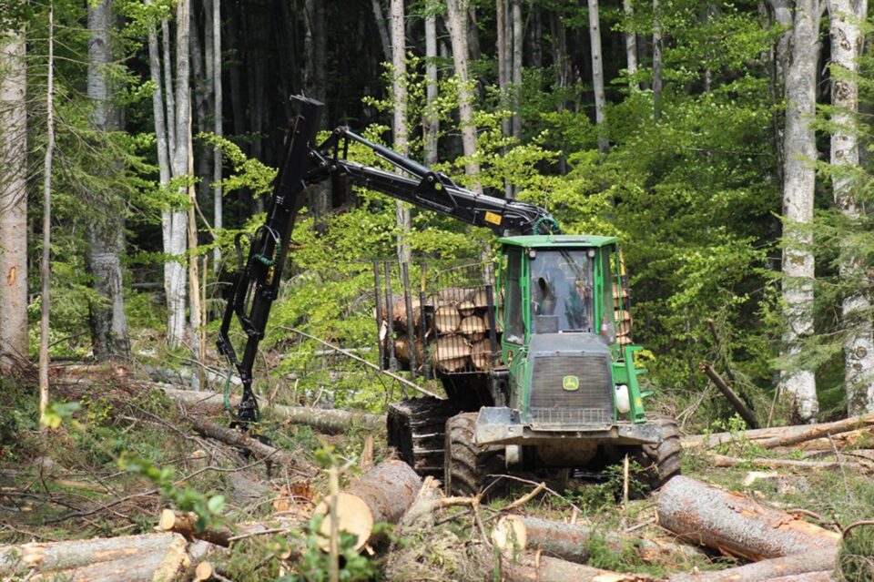Creșterea gradului de utilizare a lemnului în construcții, una dintre principalele măsuri propuse de ASFOR pentru finanțare prin PNRR