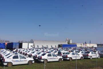 Aglomerație de mașini de poliție