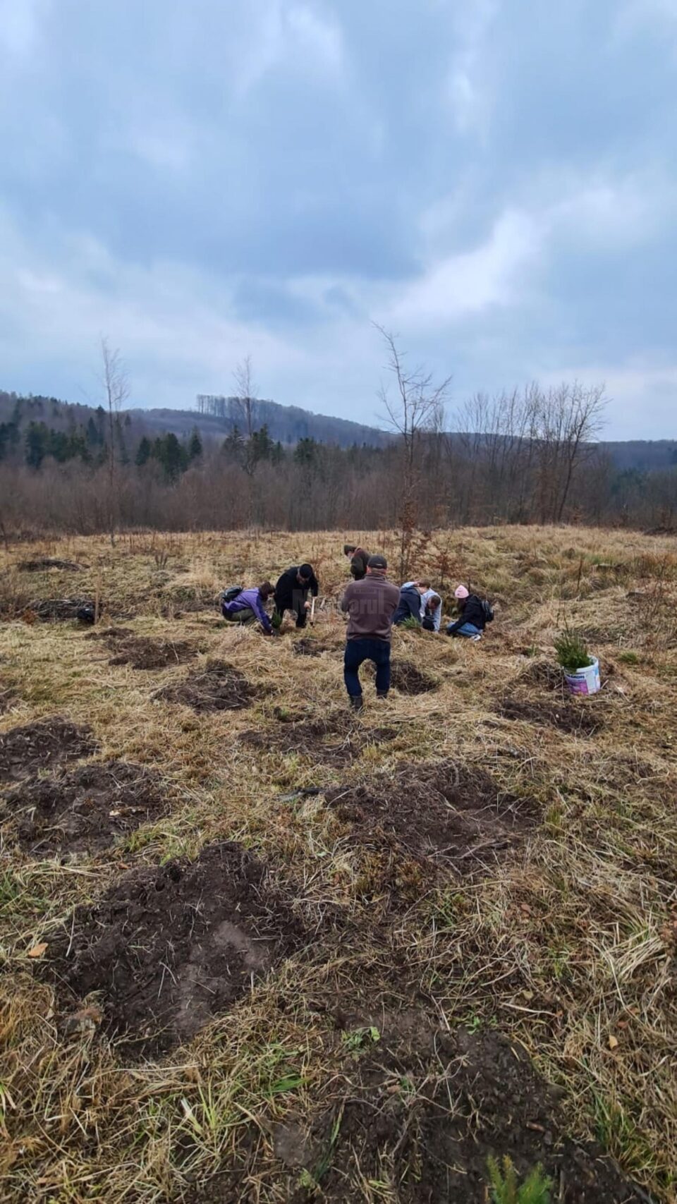 Acțiune de împădurire la care au participat și voluntari ai Asociației Tinerilor Ortodocși Suceveni Acțiune de împădurire la care au participat și voluntari ai Asociației Tinerilor Ortodocși Suceveni