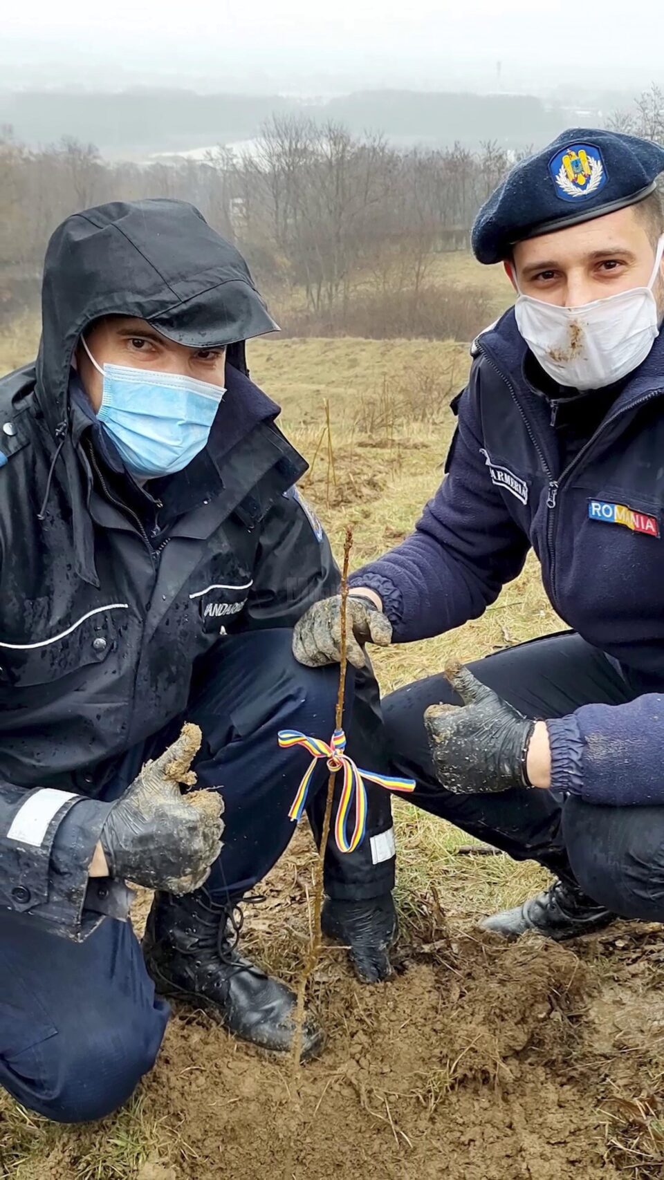Campania a continuat și cu plantarea a peste 10.000 de salcâmi