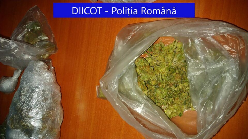 Canabis ridicat la percheziții