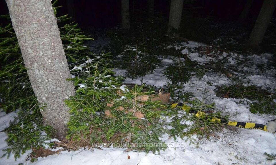 Aproape 7.000 de pachete de țigări capturate în 24 de ore, în zona de munte a județului