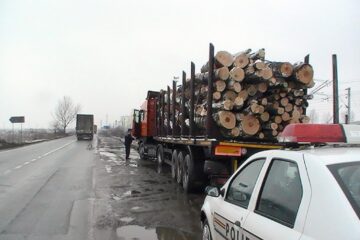 Activiștii de mediu din Suceava sunt tot mai prezenți – camioane cu lemn oprite zilnic