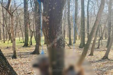 Câinii spânzurați