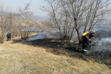 Multe incendii de vegetație, pe 28 de hectare, în ziua de marți