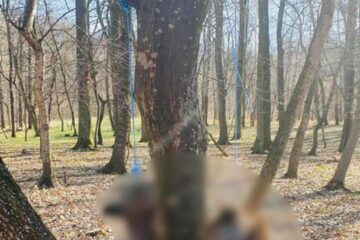 Câinii au fost găsiți spânzurați într-o pădure de lângă satul Mihăiești