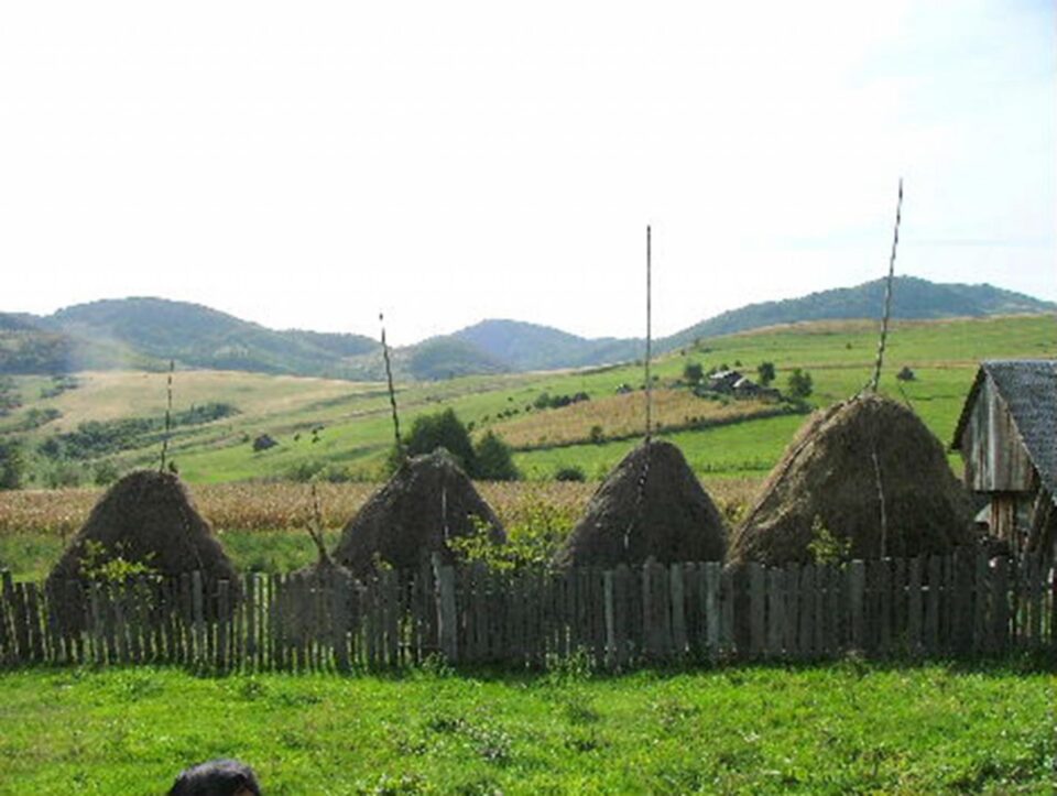 „Începe sezonul”