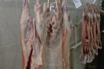 Sanitar-veterinarii încurajează crescătorii de oi să solicite autorizarea pentru centre de sacrificare provizorii