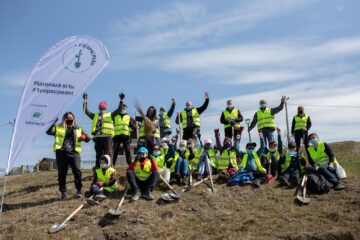 Angajații firmei sucevene UrsPack și-au propus să planteze 50.000 de puieți în acest an