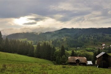 Dorna Arini, încadrată în scenariul roșu timp de două săptămâni