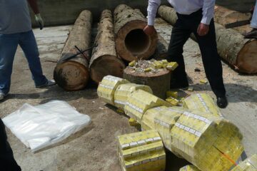 Țigări de contrabandă aduse în România în bușteni scobiți