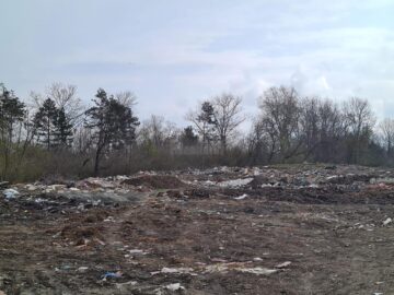 Gunoaiele au pus stăpânire pe comuna Dornești