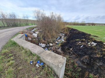 Gunoaiele au pus stăpânire pe comuna Dornești