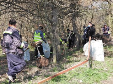 Mobilizare de forțe pentru curățarea parcului Șipote și a pădurii Zamca de către Primăria Suceava