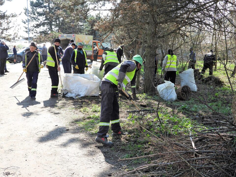 Campania de curățenie de primăvară în Parcul Șipote și în pădurea Zamca