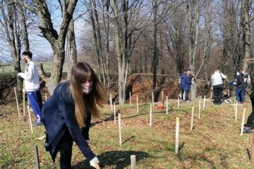 Elevii și profesorii de la CN ”Mihai Eminescu” au plantat 36 de puieți de fag pe raza Ocolului Silvic Pătrăuți