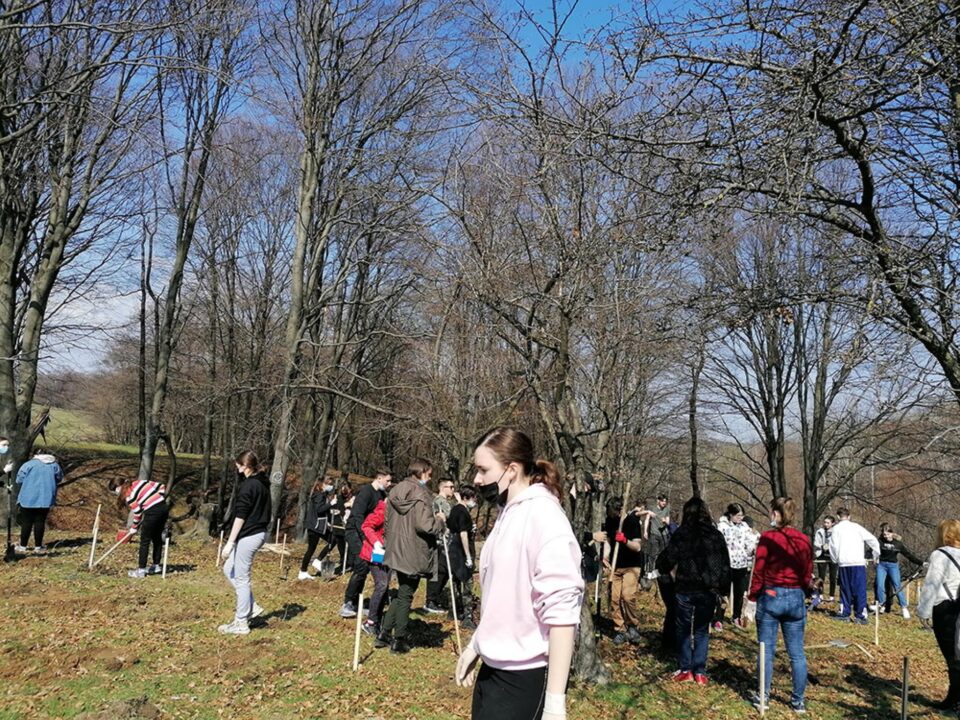 Ziua Pământului, sărbătorită printr-o acțiune de împădurire de elevi și profesori ai CN “Mihai Eminescu”