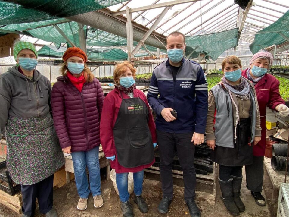 La vechile sere de la Domeniul public s-au produs anul acesta 156.300 fire de flori, printre care mușcate, crăițe, petunii, cana indica, gura leului, gazania, celosia, dalia, salvia 3