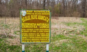 Rezervația naturală Pădurea Zamostea-Luncă foto Ștefan Macedon Gheorghiță