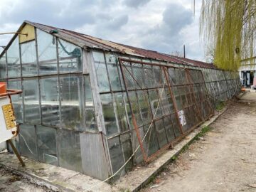 O nouă seră, de 6600 de mp, va produce florile care înfrumusețează străzile Sucevei